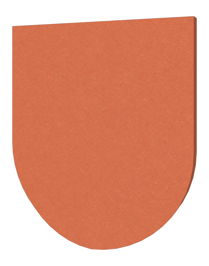 Type 2